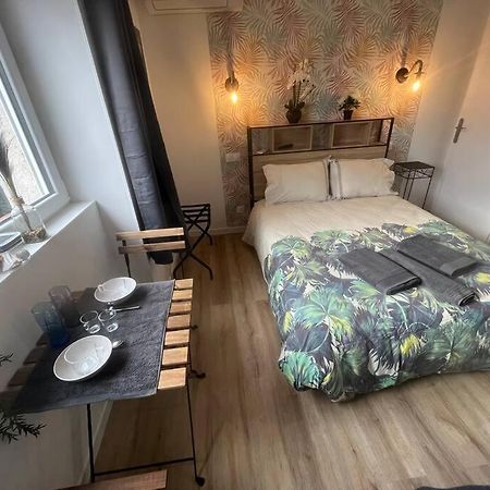 Verdi Studio Cosy Au Calme Parking Gratuit Chasse-sur-Rhône Eksteriør billede